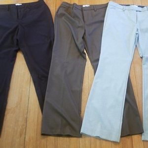 Lot of 3 dress pants bootcut